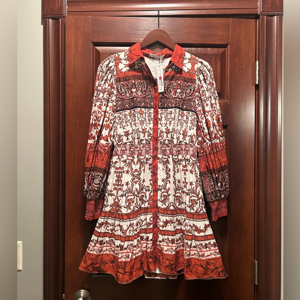 NWT Alice + Olivia by‎ Stacey Bendet Long Sleeve Boho Dress Size 4 No Belt